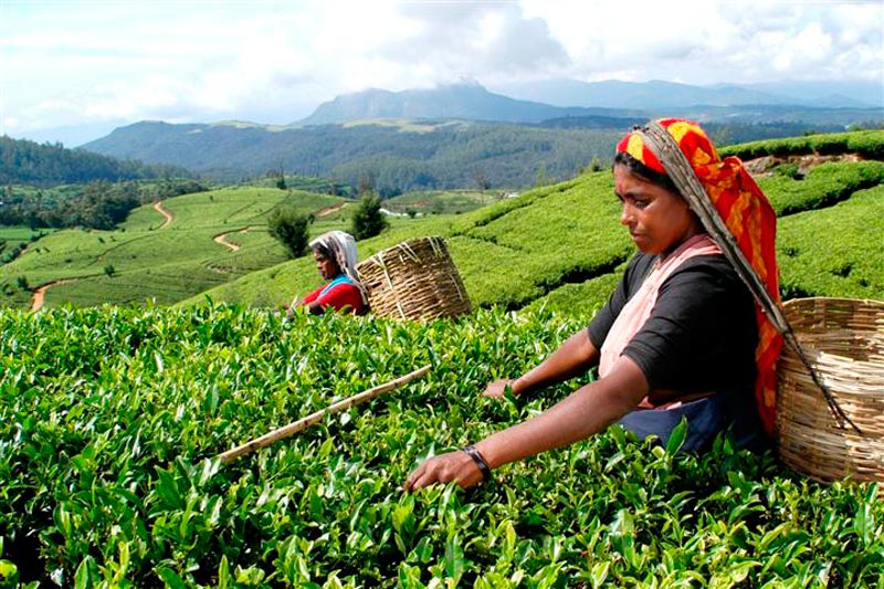 Sri Lanka